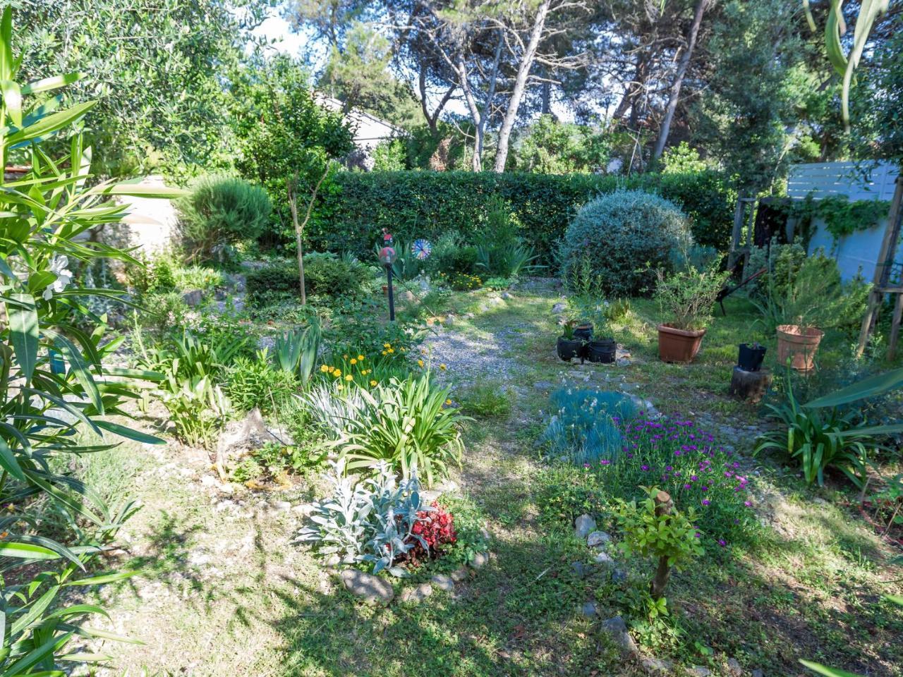 Spacious Holiday Home In Molat With Pool Brgulje Kültér fotó