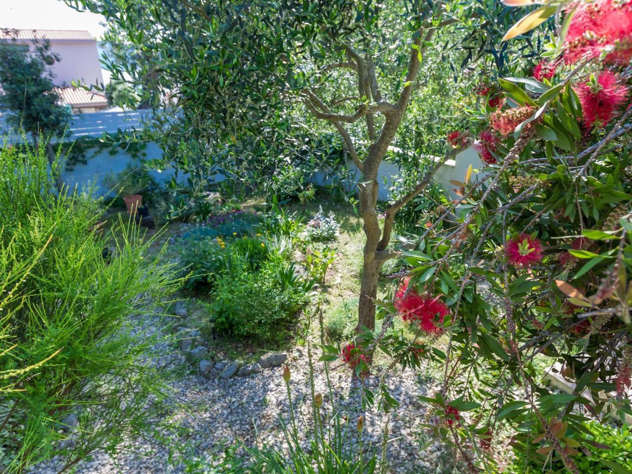 Spacious Holiday Home In Molat With Pool Brgulje Kültér fotó